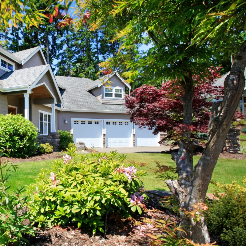 Tree Health & Disease Diagnosis